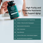 Qualia Mitochondria+ NAD+ Booster for Cellular Energy - 160 Capsules - image 6