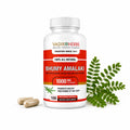 Vadik Herbs Organic Bhumy Amalaki Liver Support - 100 Capsules