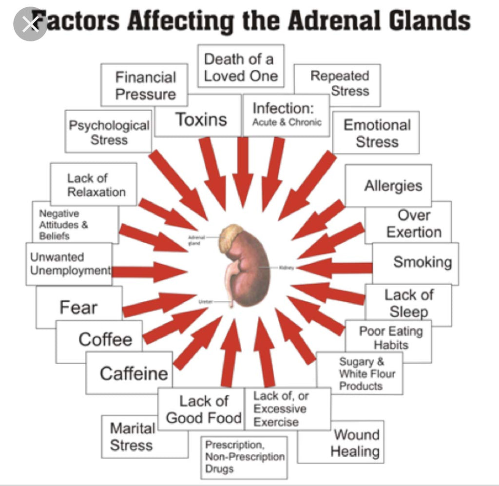 The One Minute Miracle Adrenal Essence Supplement - 120 Capsules - image 6