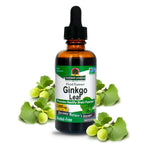 Nature's Answer Ginkgo Biloba Leaf Extract Liquid - 4 Fl Oz (2 Pack)