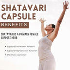 Hebhac Herbs Shatavari Root Extract 1000mg - 90 Vegetarian Capsules - image 4