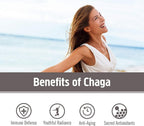 OM Mushroom Superfood Chaga Mushroom Capsules Immune Support - 90 Count - image 3
