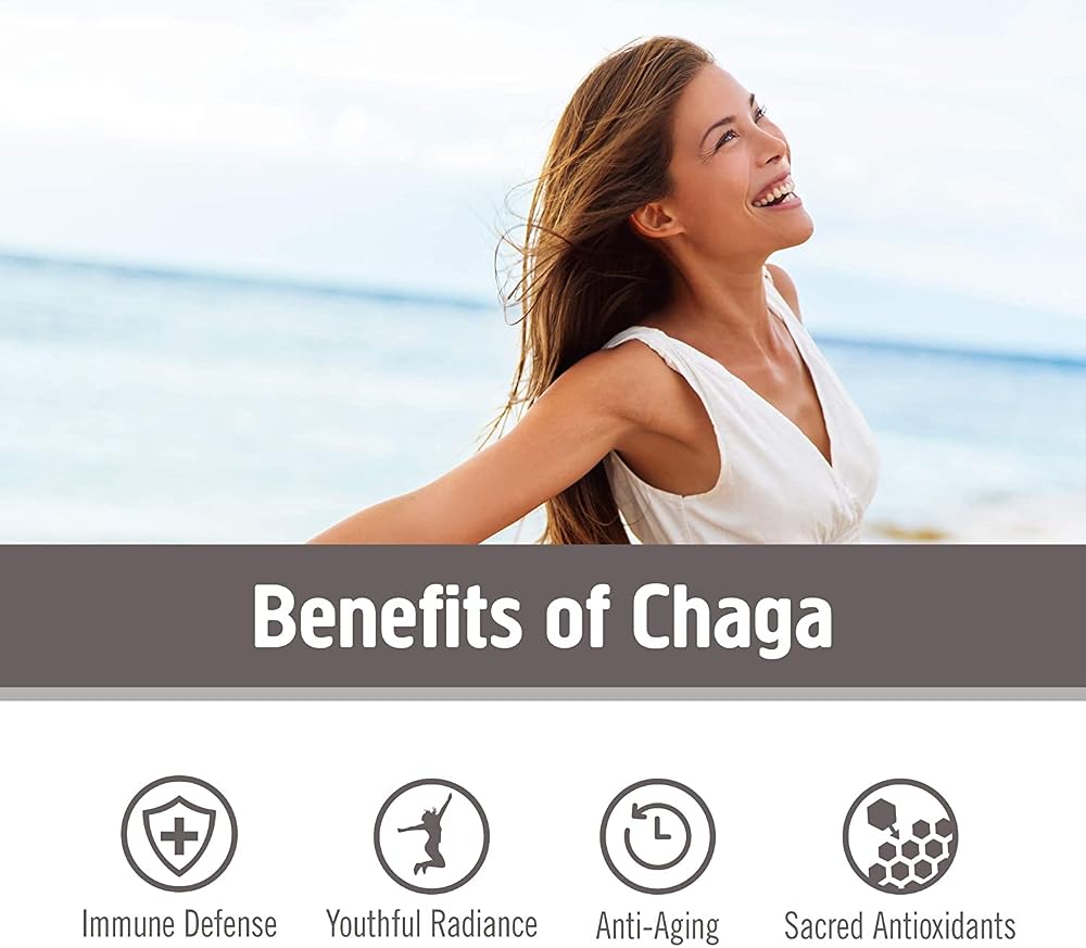 OM Mushroom Superfood Chaga Mushroom Capsules Immune Support - 90 Count - image 3