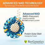 REVGENETICS Advanced NAD Powder - 147 Servings - image 2