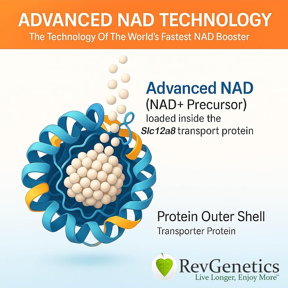 REVGENETICS Advanced NAD Powder - 147 Servings - image 2
