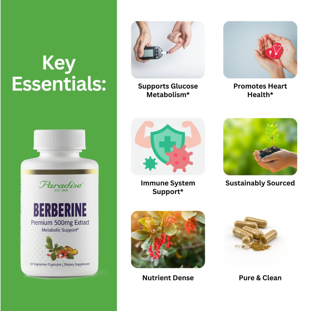 Paradise Herbs Berberine Extract 500 mg - 60 Capsules - image 2
