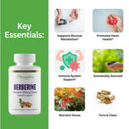 Paradise Herbs Berberine Extract 500 mg - 60 Capsules - image 2