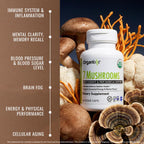 Organixx 7 Mushroom Supplement Immune Support - 60 Capsules - image 4