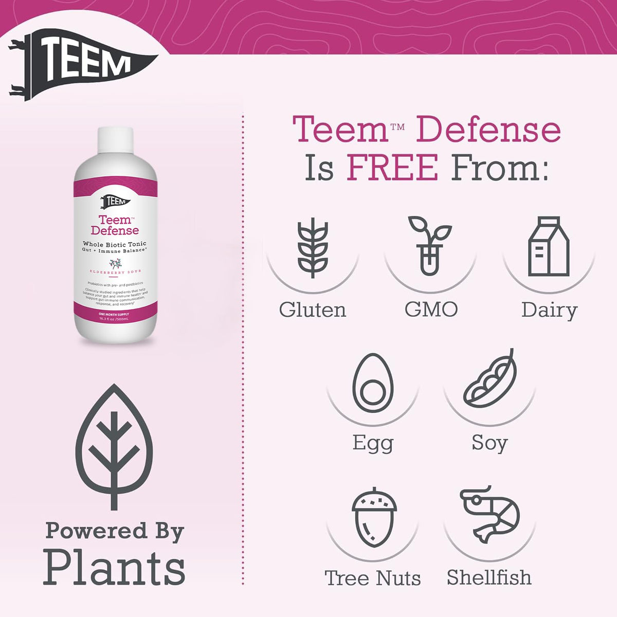 Teem Defense Liquid Probiotic with Elderberry and Postbiotics - 16 fl oz - image 7