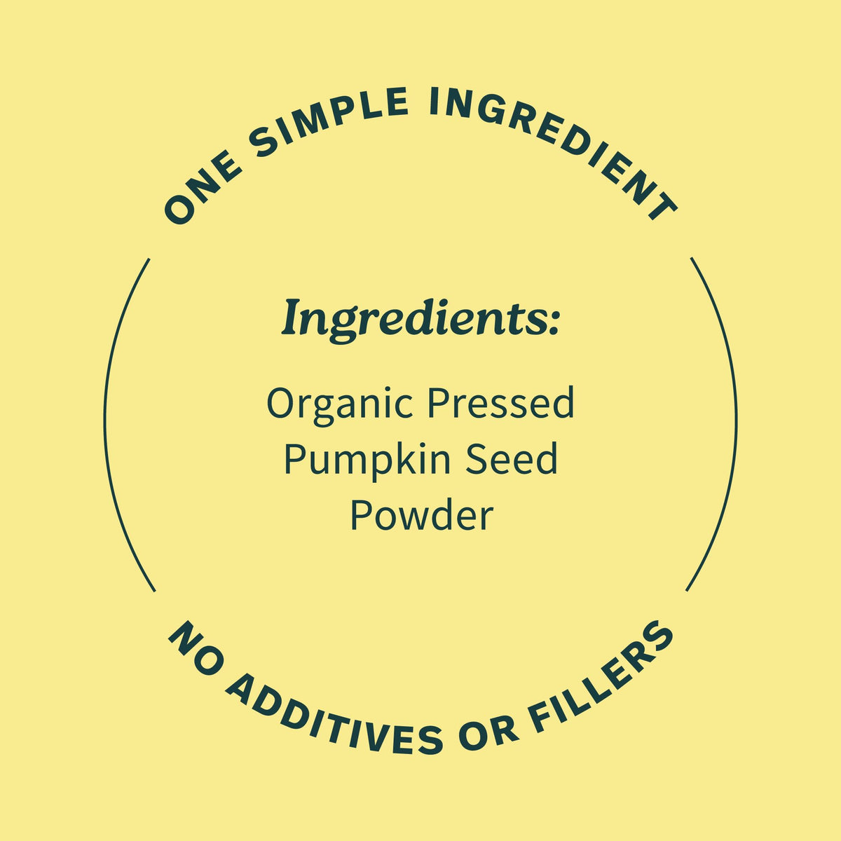 Sprout Living, Simple Protein, Organic Plant Protein Powder