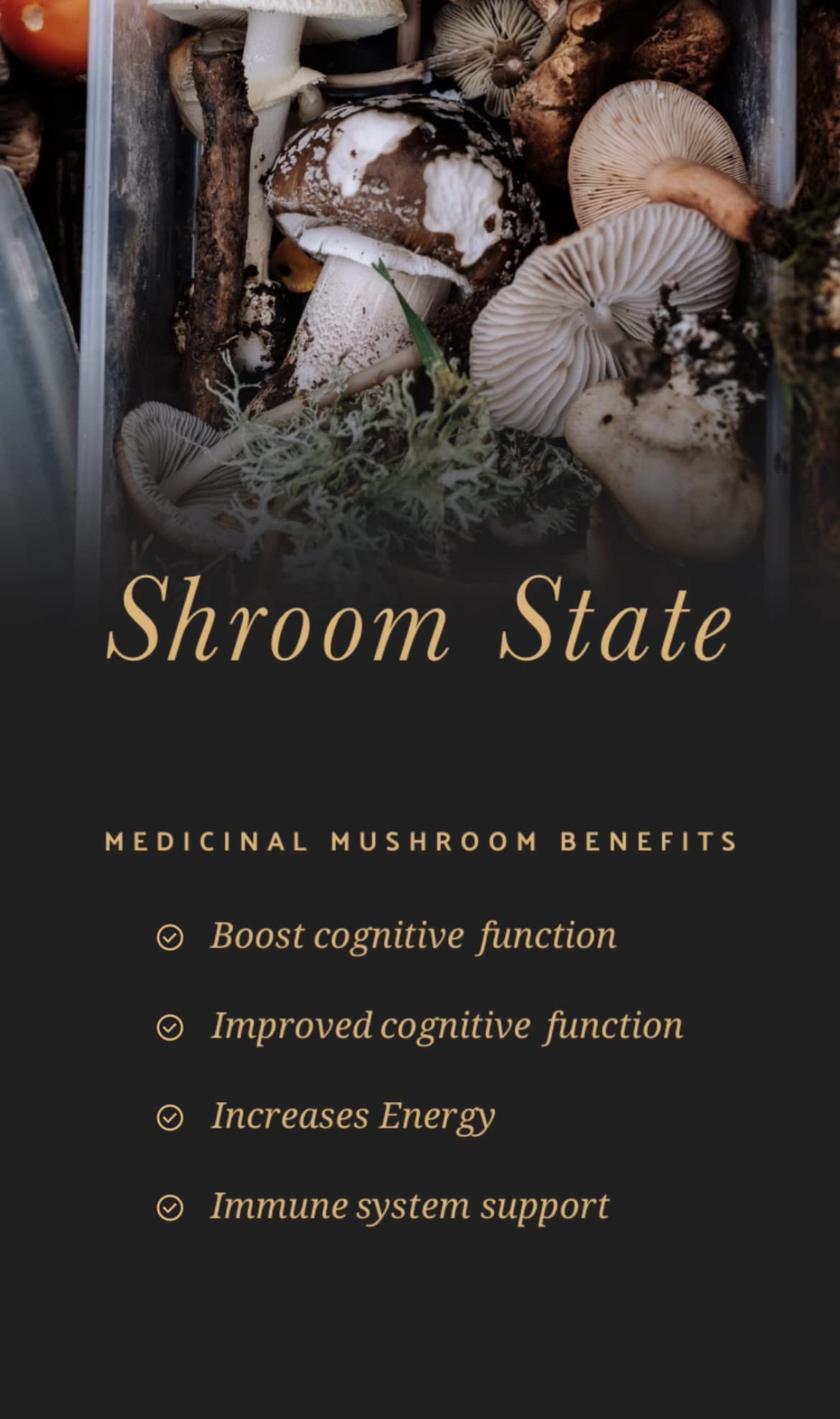 Flowstate Lifestyles Shroom State 10 Mushroom Complex - 60 Capsules - image 3