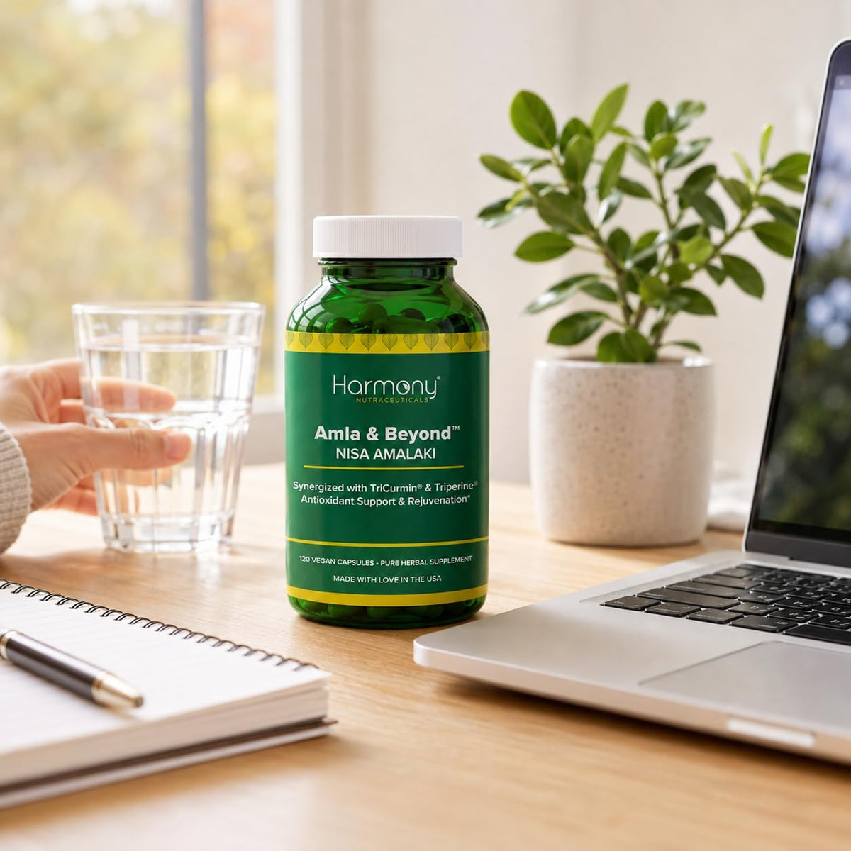 Harmony Nutraceuticals Amla & Beyond Ayurvedic Herbal Formula - image 12