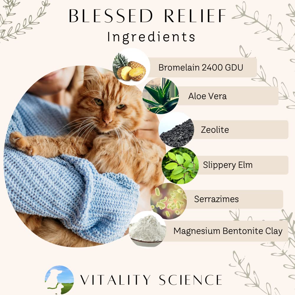 Vitality Science Blessed Relief for Cats - image 4