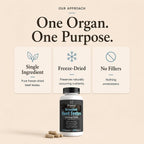 Primal Being Grassfed Beef Testes Capsules - 120 Capsules - image 5