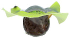Bean Stalk Original Protein Stick - 1 Ounce - image 3