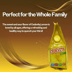 SORINA Cedevita Instant Lemon Drink Mix with 9 Vitamins - 900g - image 5
