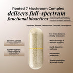 Rooted Active Naturals Mushroom Complex - 60 Vegetarian Capsules - image 4