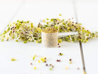 KOYAH Organic Broccoli Sprout Powder - 36 Servings - image 9