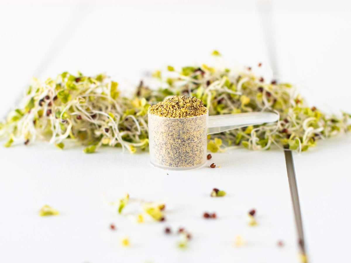 KOYAH Organic Broccoli Sprout Powder - 36 Servings - image 9