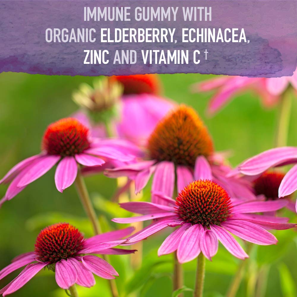 Garden of Life Organics Elderberry Immune Gummies - 120 Gummies - image 2