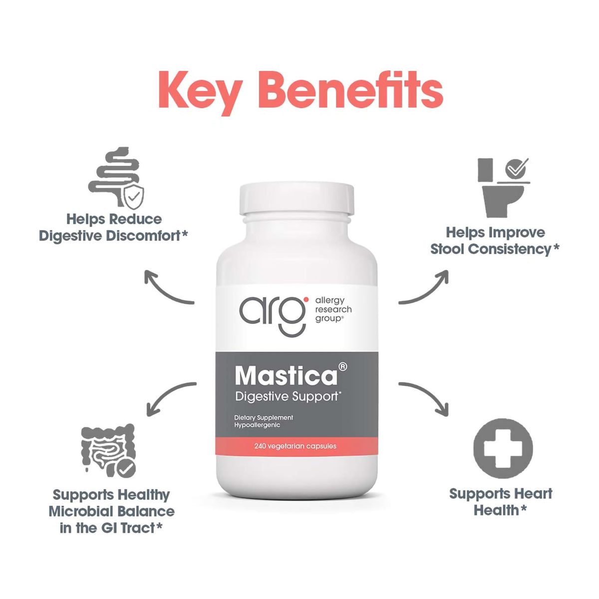 Allergy Research Group Mastica Chios Mastic Gum Digestive Support - 240 Capsules - image 4