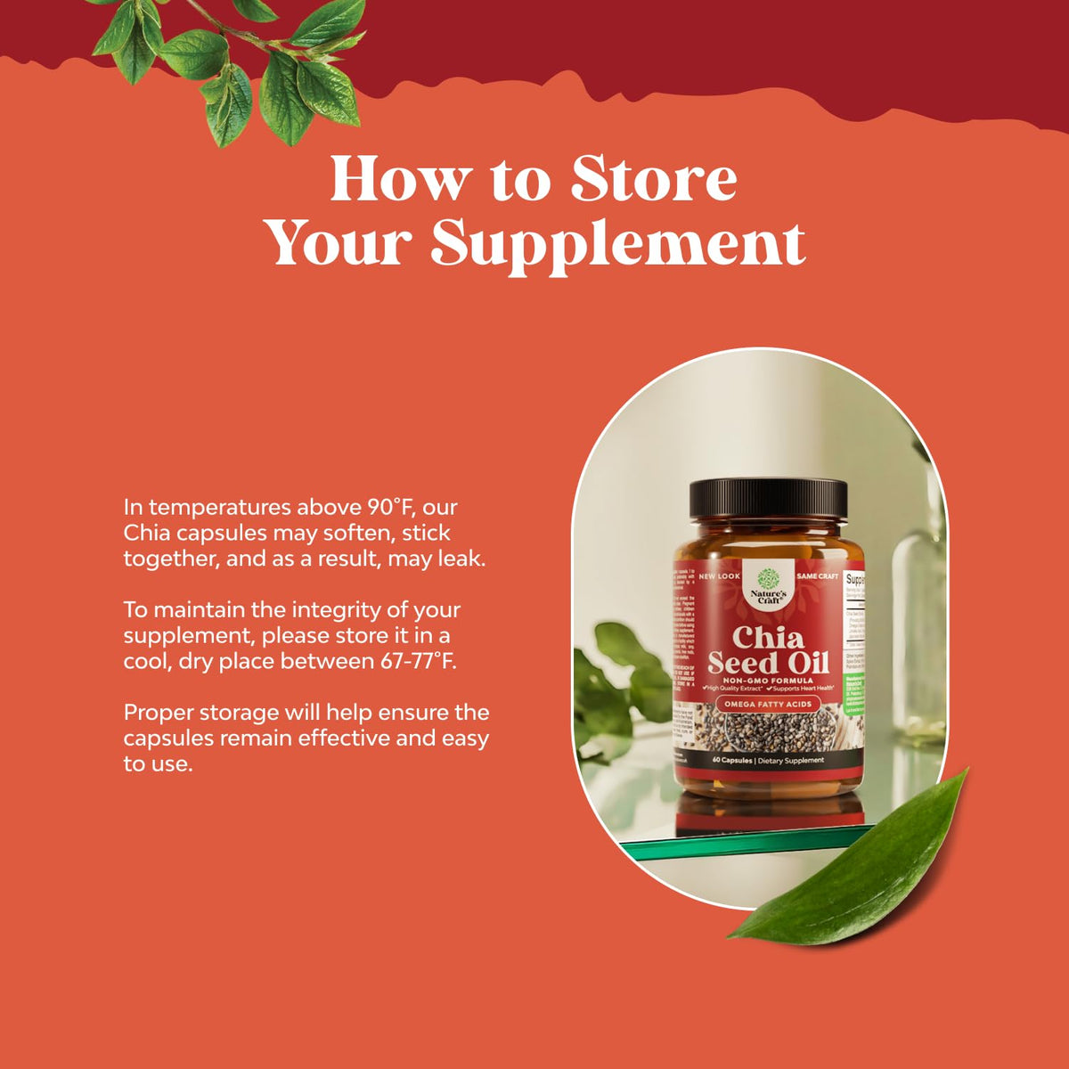 Natures Craft Chia Seed Oil Extract Omega 3-6-9 - 60 Capsules - image 6