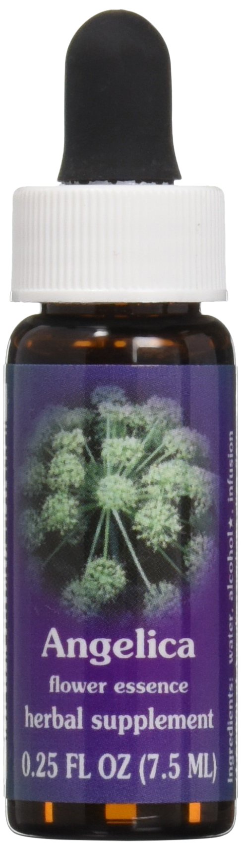 Flower Essence Services Angelica Essence - 0.25 oz