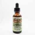 Holly Hill Health Foods Echinacea & Goldenseal Immune Support - 1 Fl Oz