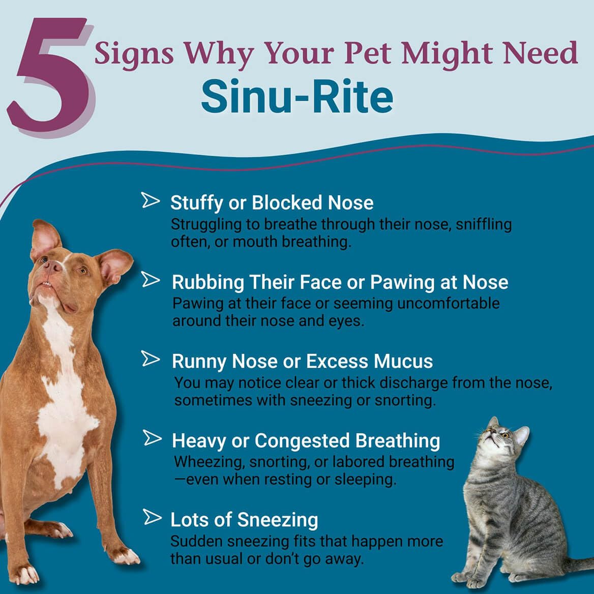 PetAlive Sinu-Rite for Dogs & Cats Nasal Relief - 180 Tablets - image 2