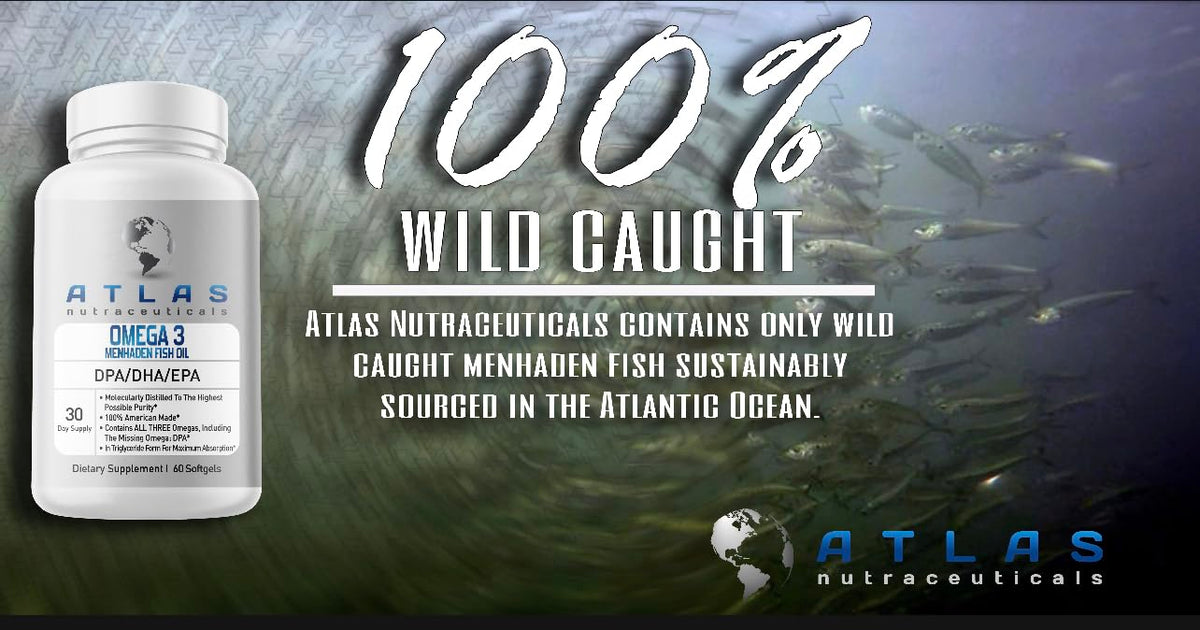 Atlas Nutraceuticals Menhaden Fish Oil Omega 3 - 60 Softgels - image 3