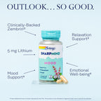 SOLARAY SharpMind Mood Support Supplement - 30 Vegetarian Capsules - image 3