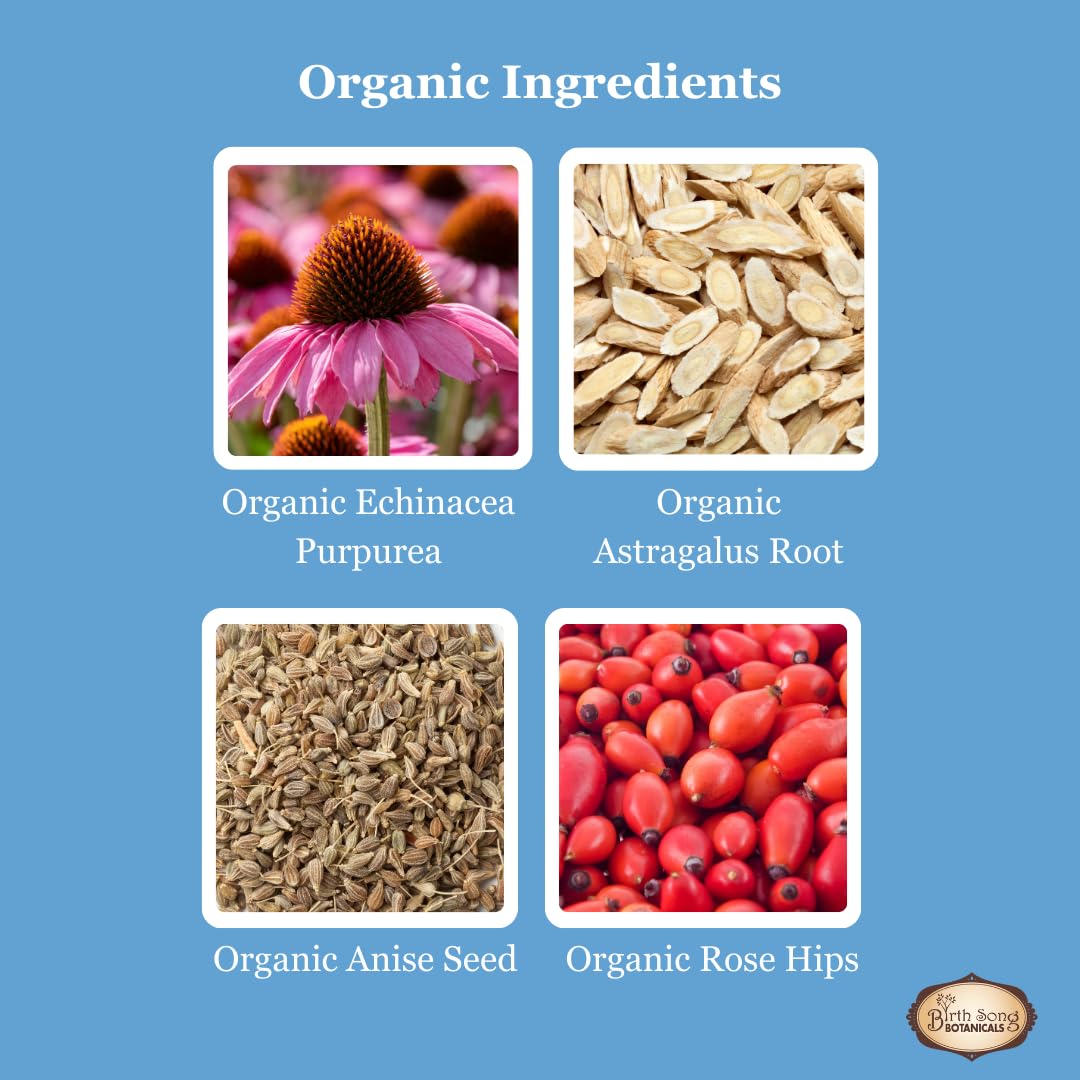 Birth Song Botanicals Children's Organic Daily Immune Herbal Tincture - 1oz - image 5