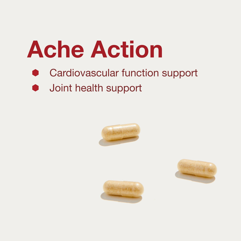 Protocol for Life Balance Ache Action Joint Support - 120 Vegetarian Capsules - image 4
