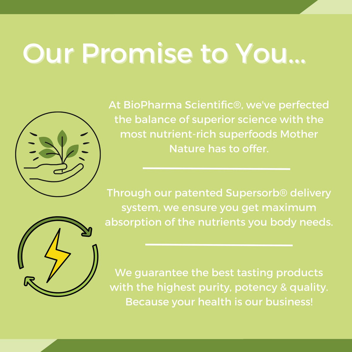 BioPharma Scientific NanoMeal Meal Replacement Shake, Tropical Fruit - image 5