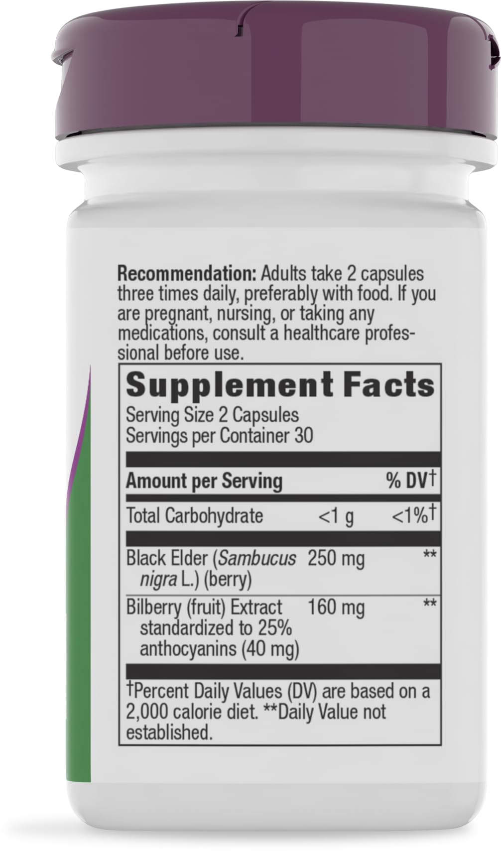Nature's Way Bilberry Premium Extract