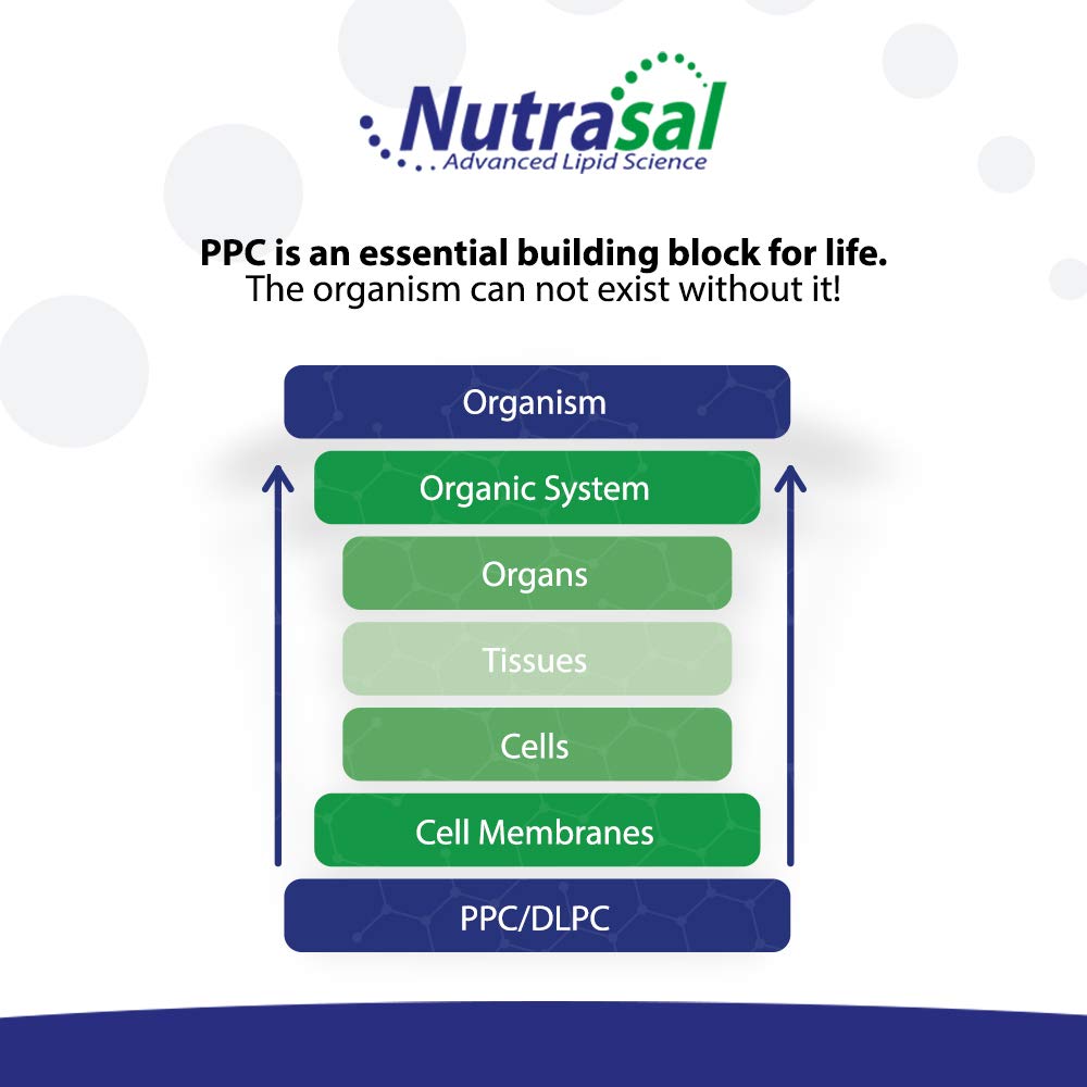 Nutrasal PhosChol 600mg - 120 Gel Capsules - image 4