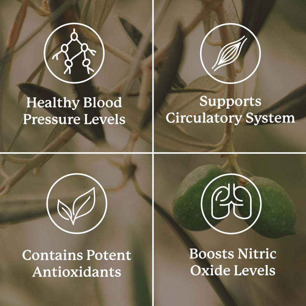 Nature's Sunshine Blood Pressurex - 60 Capsules - image 4