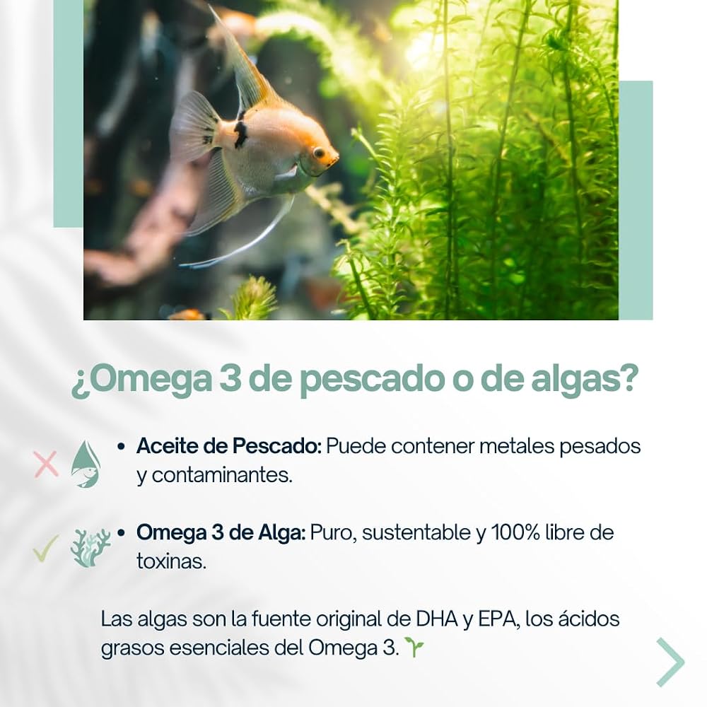 Plantceutics Algae Omega-3 560 mg DHA Vegan - 120 Softgels - image 3