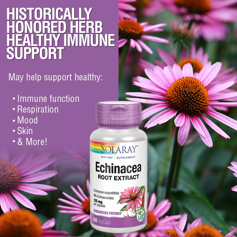 SOLARAY Echinacea Angustifolia Root Extract 125 mg - 60 Vegetarian Capsules - image 4
