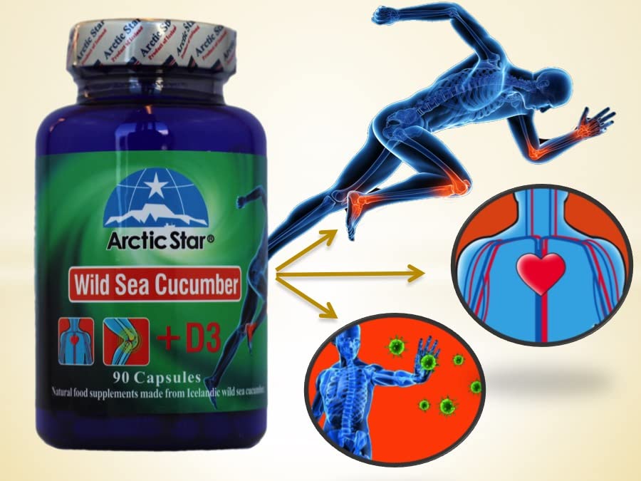 Arctic Star Sea Cucumber with Vitamin D3 - 90 Capsules - image 4