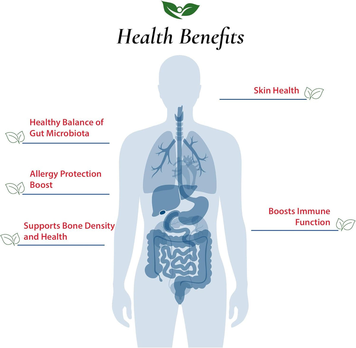 Foods For Gut Lactobacillus Helveticus Probiotic Powder 100 Billion