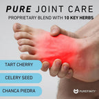 PUREFINITY Uric Acid Flush & Cleanse Capsules - 60 Count - image 2