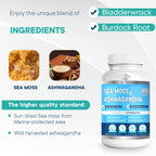 BIO VITALICA Sea Moss Ashwagandha Gummies for Women & Men