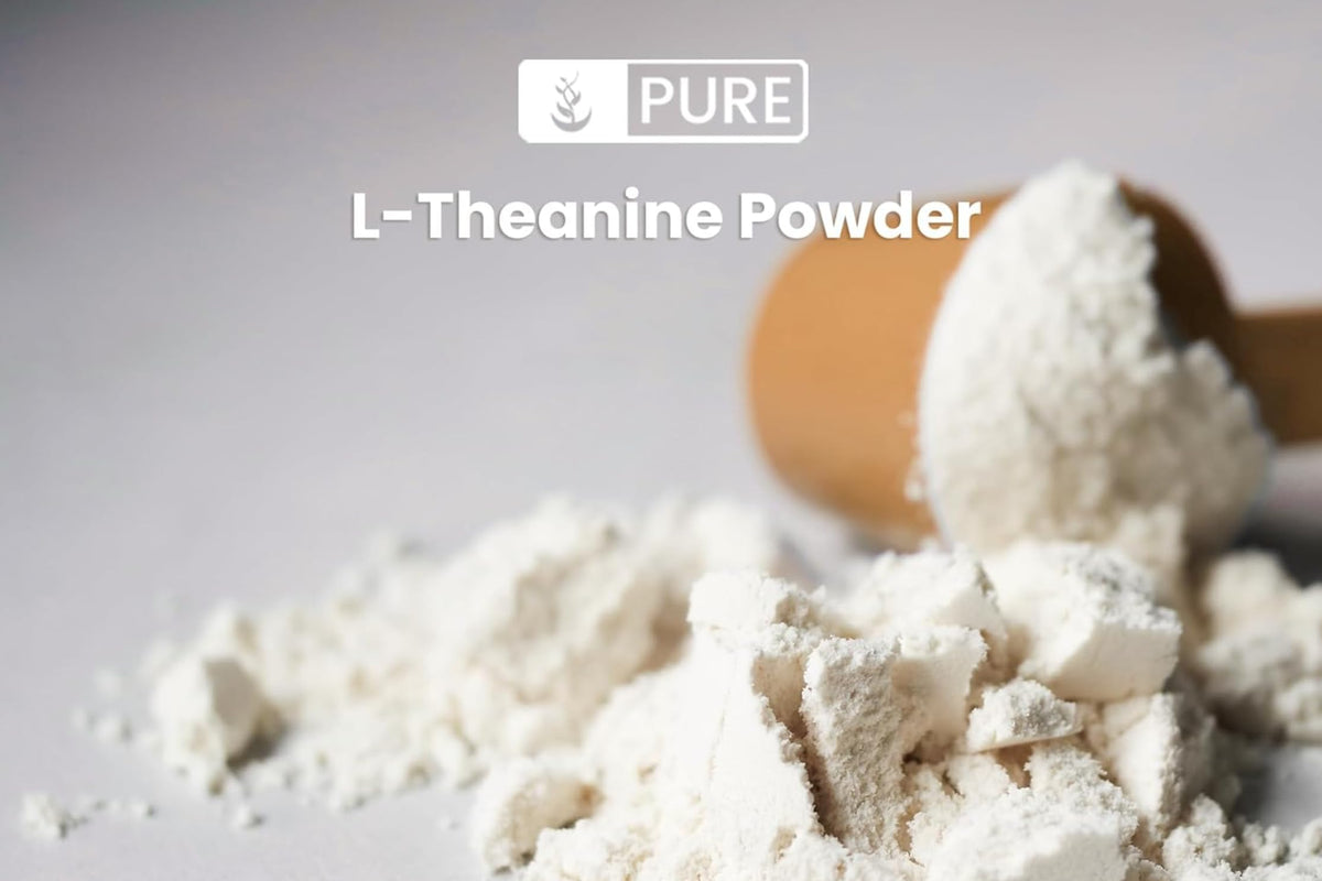 Pure Original Ingredients L-Theanine (8 oz) Amino Acid Supplement