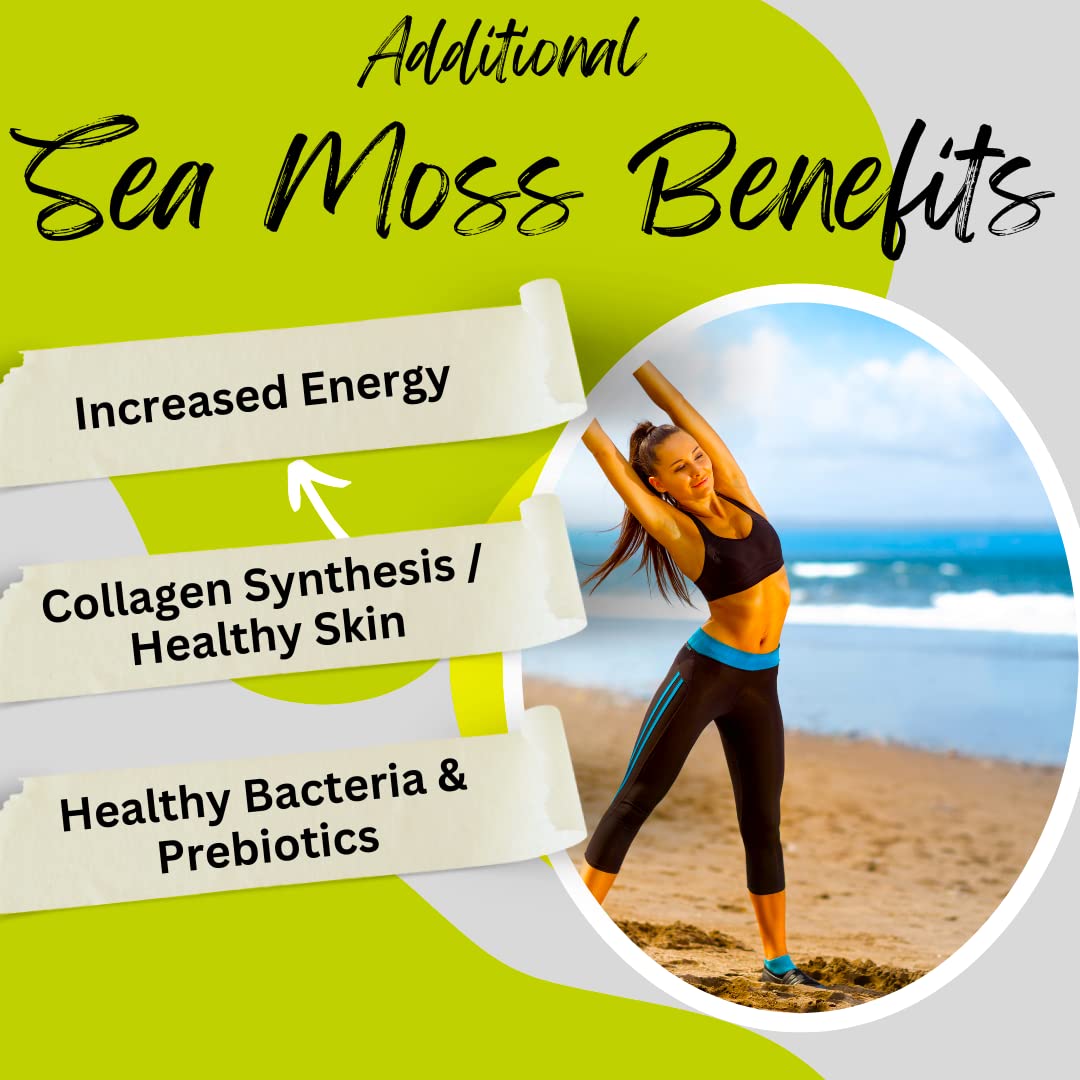Advanced Bionetix Organic Irish Sea Moss Capsules Thyroid Support - 120 Capsules - image 3