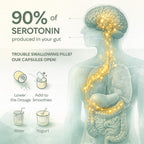 Lifted Naturals Mood Boosting Probiotic 30 Billion CFU - 60 Capsules - image 6