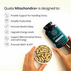 Qualia Mitochondria+ NAD+ Booster for Cellular Energy - 160 Capsules - image 3
