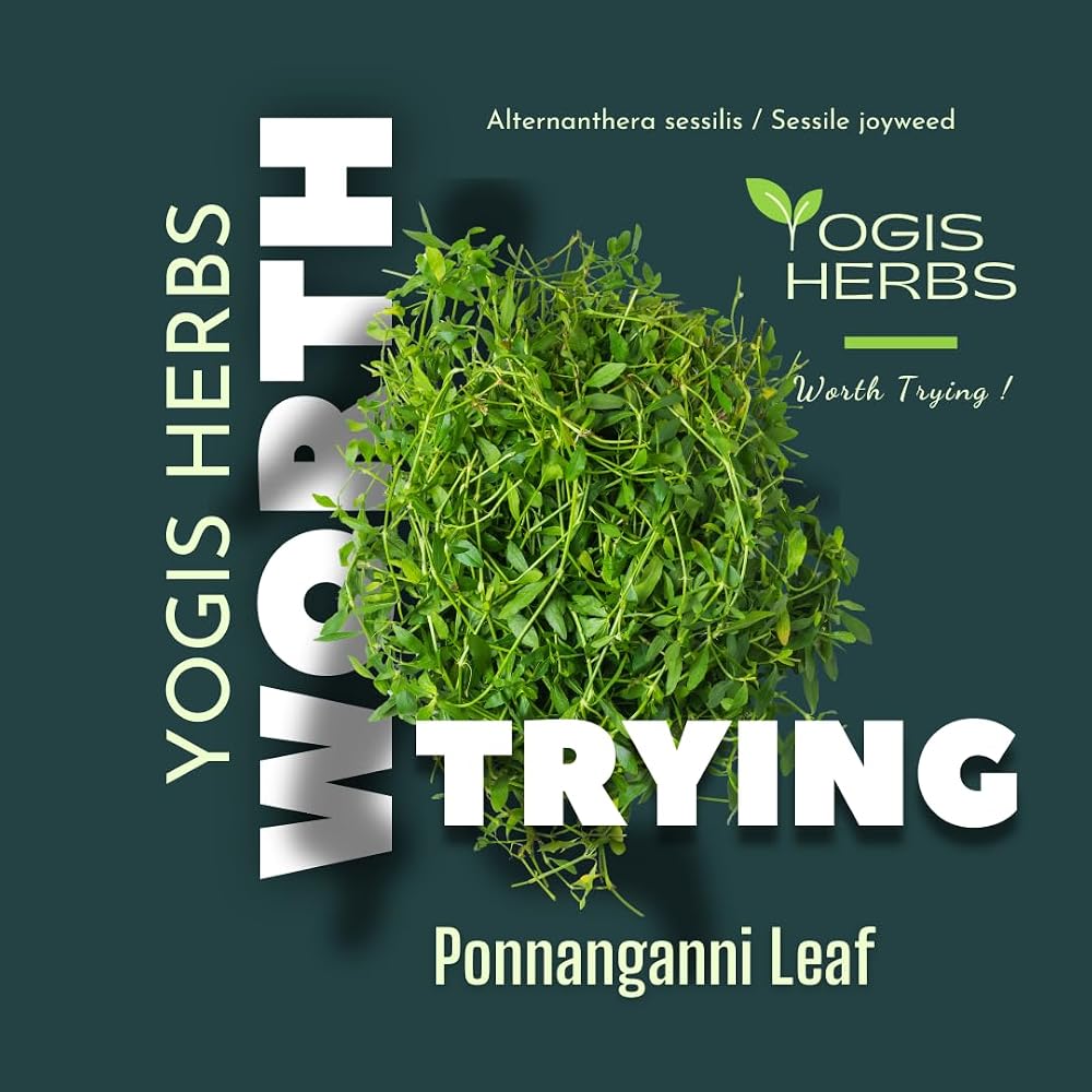 YOGIS HERBS Ponnanganni Capsules Herbal Supplement - 90 Vegetarian Capsules - image 6