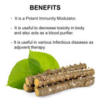 bixa BOTANICAL Ayurvedic Natural Herbal SupplementGUDUCHI Pure - image 4