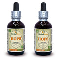 Herbal Terra LLC Hops (Humulus Lupulus) Tincture